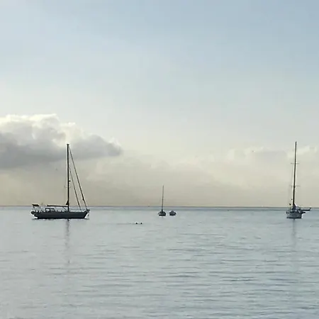 Le Cosi 2 -bord De Mer- * La Ciotat